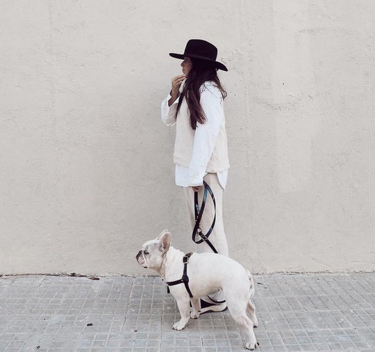 Spring & Summer Dog Walking Capsule Wardrobe