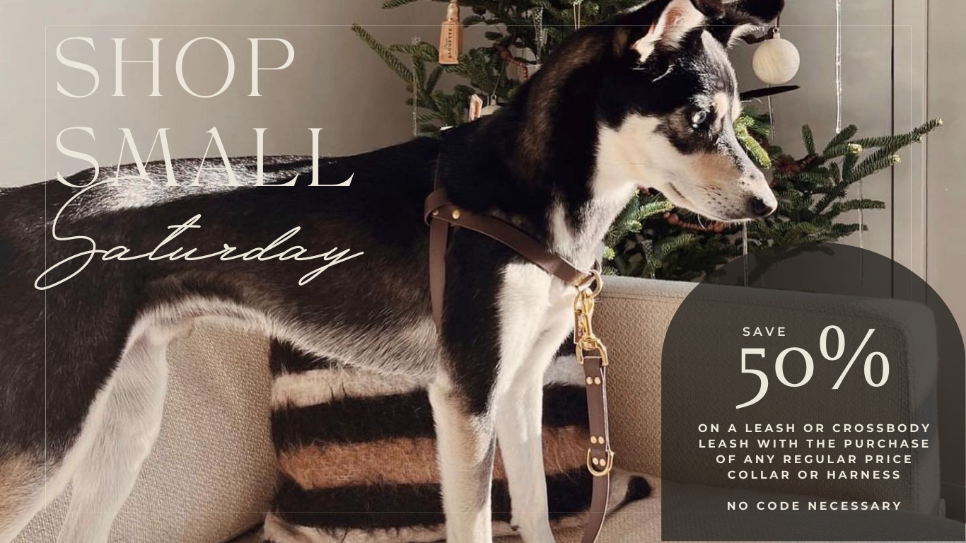 Waterproof Jellies Collection