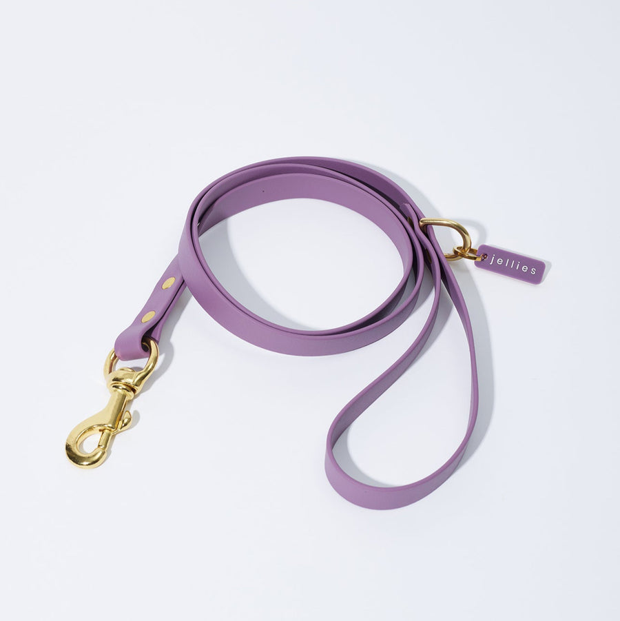 Waterproof Jellies Leash - Aurora