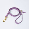 Waterproof Jellies Leash - Aurora