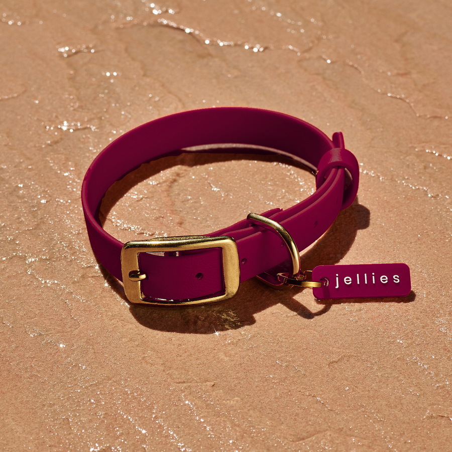 Waterproof Jellies Collar - Pomegranate