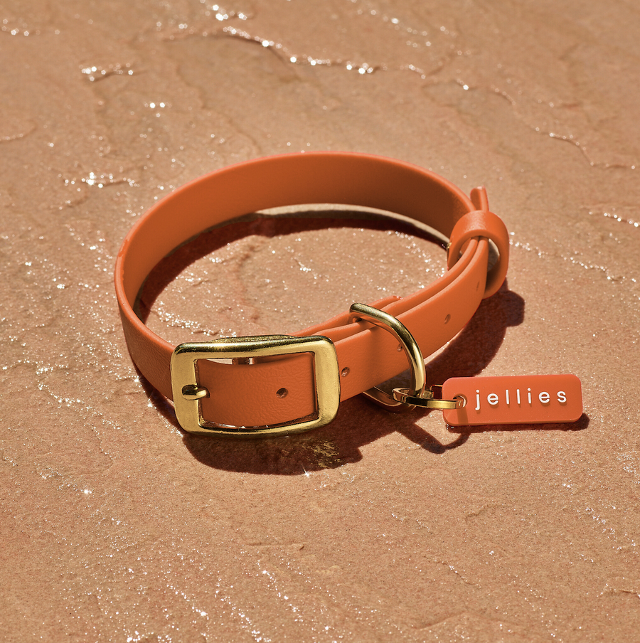 Waterproof Jellies Collar - Spice