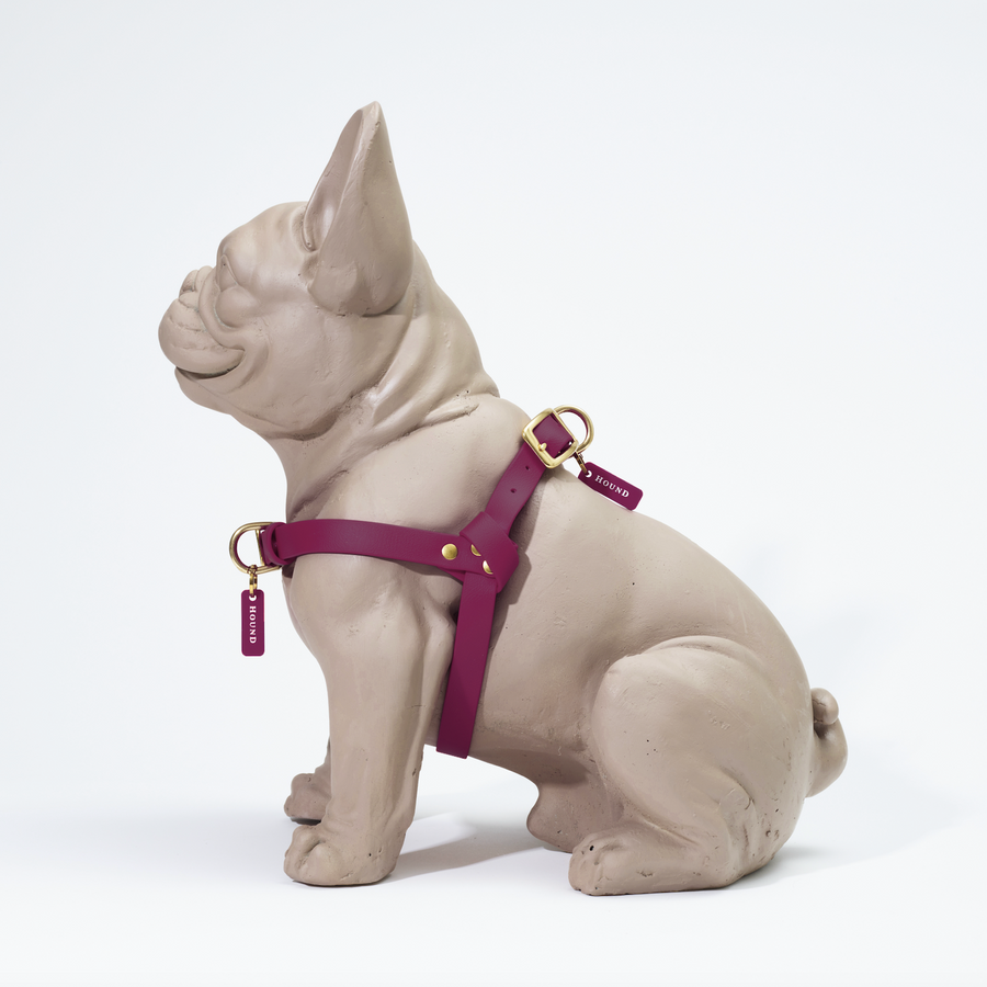 Waterproof Jellies Harness - Pomegranate