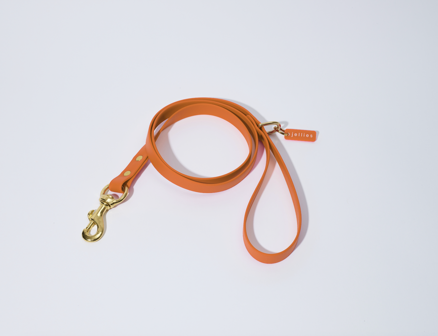 Waterproof Jellies Leash - Spice