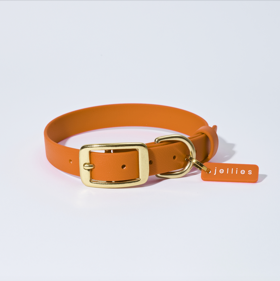 Waterproof Jellies Collar - Spice