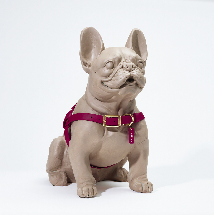 Waterproof Jellies Harness - Pomegranate