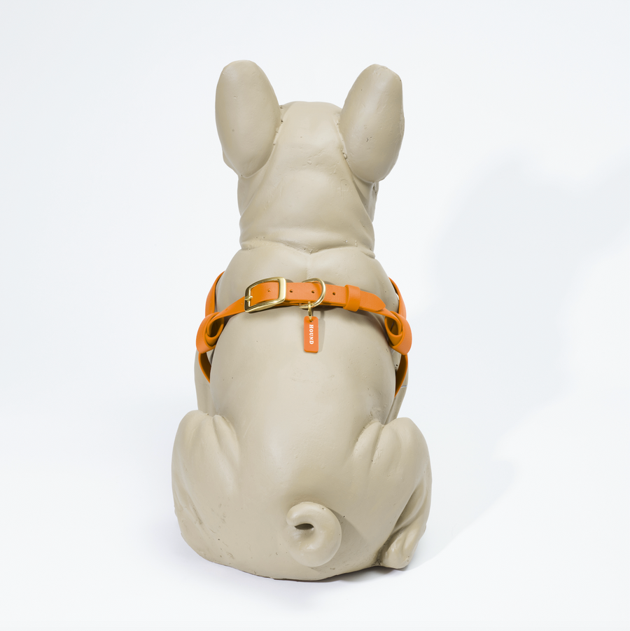 Waterproof Jellies Harness - Spice