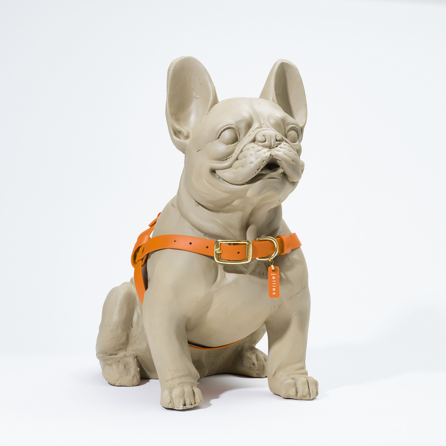 Waterproof Jellies Harness - Spice