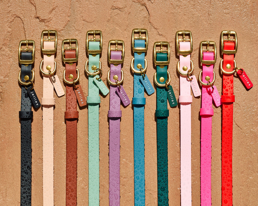 Waterproof Jellies Collar - Wild Rose