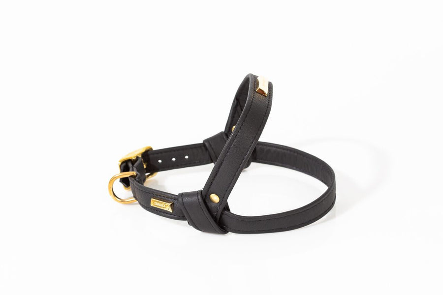 Harness in Limone Leather