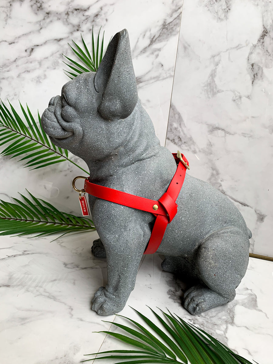STRAWBERRY JELLIES HARNESS